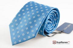 Голубой мужской галстук Roberto Fabbiani